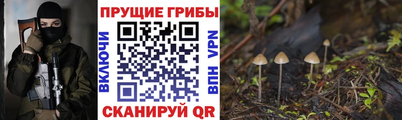 где купить   ОМГ ОМГ ссылки  Псилоцибиновые грибы прущие грибы  Отрадная 